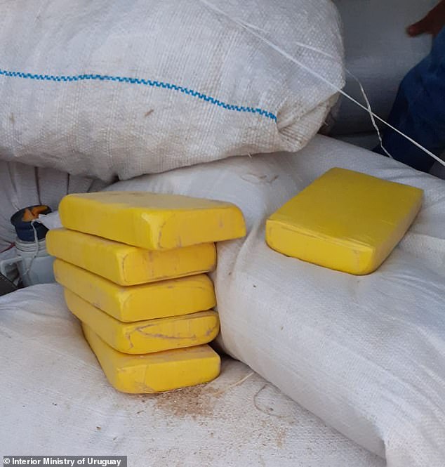 In a separate drug bust Saturday, law enforcement agents in Montevideo arrested a 47-year-old man driving a van with more than 400 kilos of cocaine