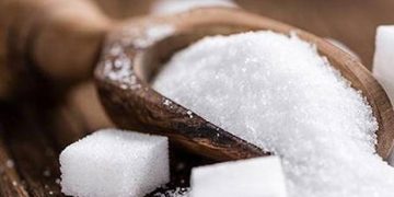 Freight ambiguity: It’s lose-lose for sugar refinery, mills