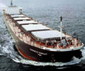 Baltic index drops to near 6-month low on weaker vessel demand
