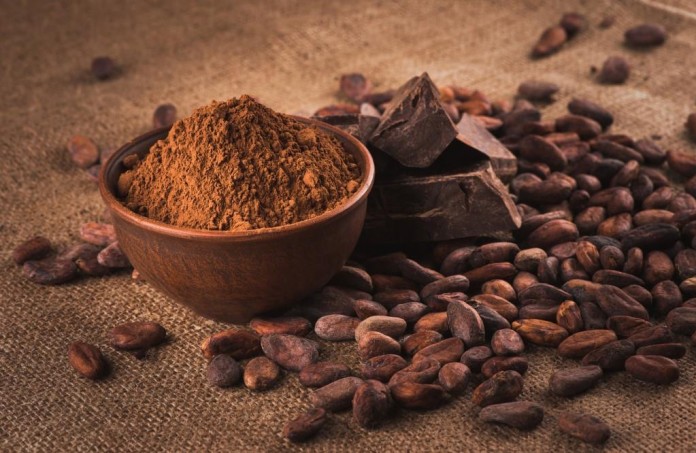 Cargill expanding processing and sustainability in cocoa supply chain