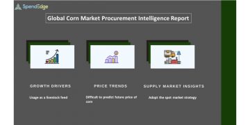 Corn Market Procurement Intelligence Report | Increase in Supplier OPEX to Impact Procurement Spend