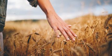 Walmart: investing in fresh produce supply chains | Supply Chain Management