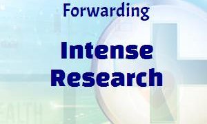Global Seafreight Forwarding Market 2019 by Manufacturers, Regions, Type and Application, Forecast to 2025