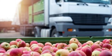 Is a lack of supply chain collaboration at the root of food product recalls?