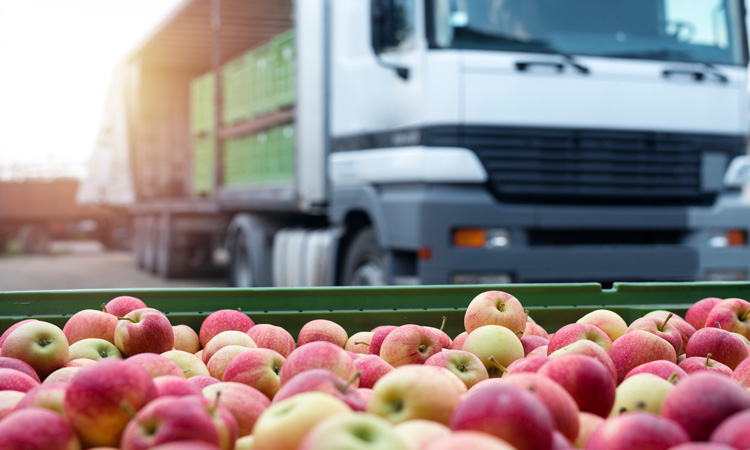 Is a lack of supply chain collaboration at the root of food product recalls?