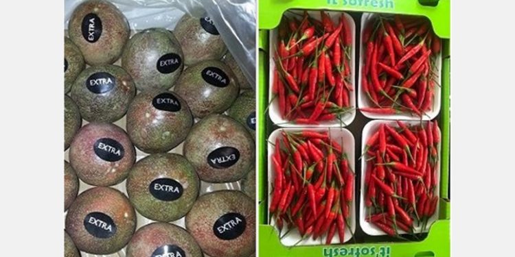 Airfreight company diversifying into sea freight of apples, citrus & avos