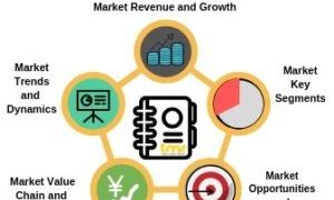 Procurement Outsourcing Market Competitive Environment & Forecast 2017 – 2025 – Market Research Sheets