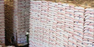 Rice inventory little changed in Oct. as NFA holdings surge