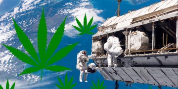 Cannabis Being Sent to ISS on Upcoming SpaceX Cargo Mission
