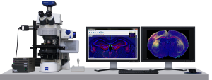 Whole Slide Imaging Market 2019 Strategic Assessment – Philips, Siemens, Positron Corporation, GE Healthcare – Testifyandrecap