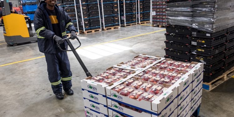 Take a look: Inside Shoprite’s massive warehouse