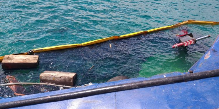 Cargo vessel accident dumps 600 gallons of oil in Galapagos Islands