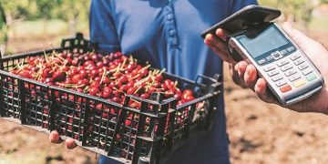 How supply chain firm Ninjacart is connecting farmers, retailers using tech