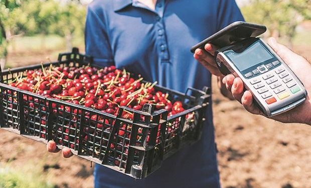 How supply chain firm Ninjacart is connecting farmers, retailers using tech
