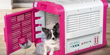 Delta CarePod: What Do the New Cargo Pet Carriers Look Like?