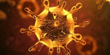 Sullivan: New coronavirus unlikely to spread through cargo packages – KTVA 11
