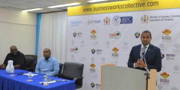Government prioritising 20 per cent procurement spend for small businesses