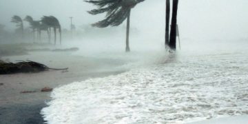 Cargo insurance for small and medium-sized companies explained