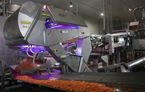 Antarctic Foods Relies on VERYX® Digital Sorters to Maximize Production Efficiency and Vegetable Product Quality