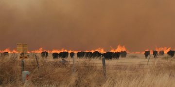 Wildfire Awareness Week reminds Kansans to remain vigilant as wildfire season approaches