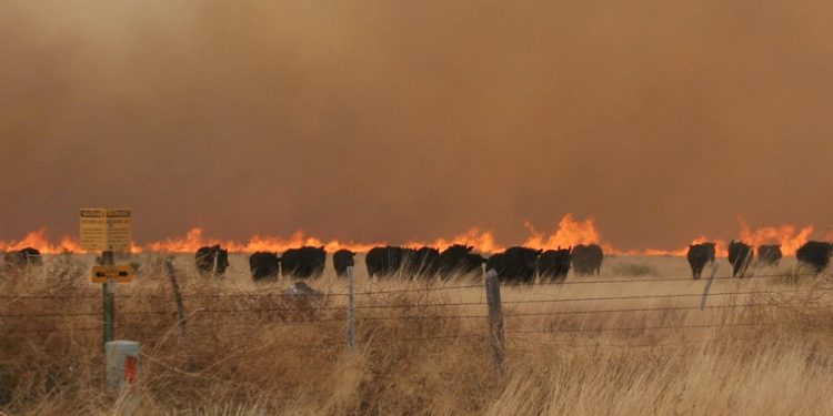 Wildfire Awareness Week reminds Kansans to remain vigilant as wildfire season approaches