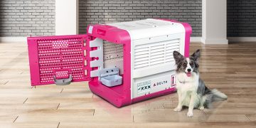 Delta Cargo to offer the CarePod travel carrier for pets in the US