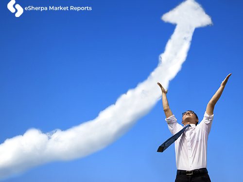 Detailed Analysis of Market Size, Share, Future Developments, Demands and Forecast Until 2024 – Dagoretti News