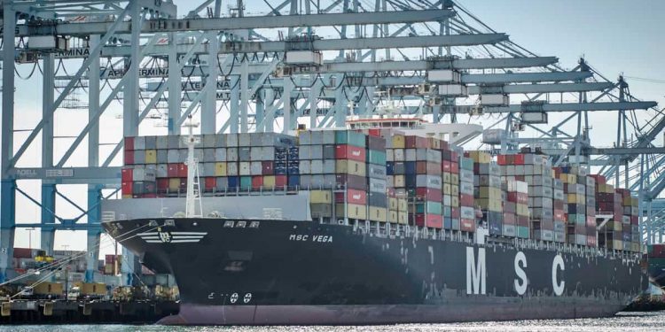 Overcapacity will continue to dog container shipping in 2020