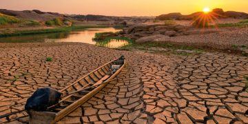 False climate solutions are benefitting no one – The New Economy