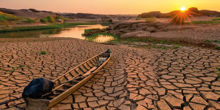 False climate solutions are benefitting no one – The New Economy