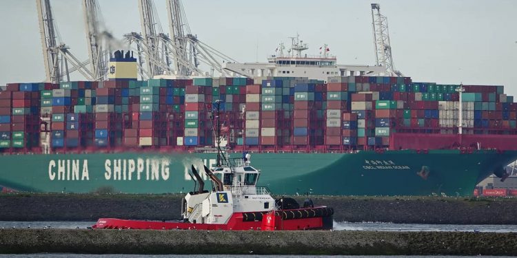 Container-line consolidation has failed to increase freight rates