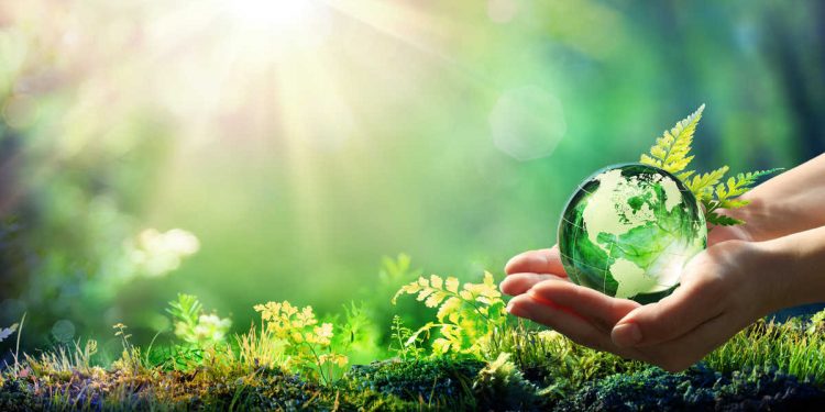 Sustainability in the supply chain | Supply Chain Management