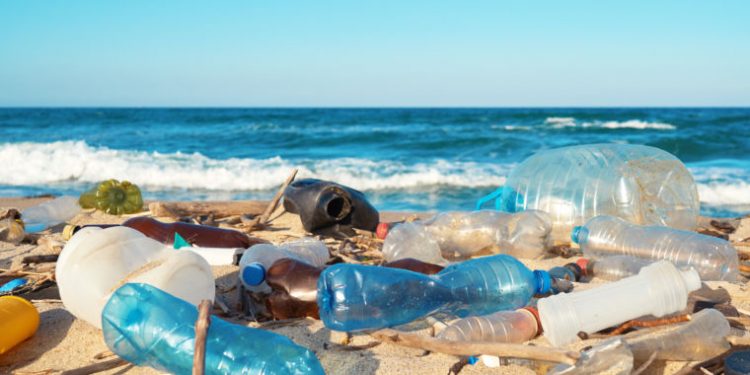 Bioplastics continue to blossom—are they really better for the environment?