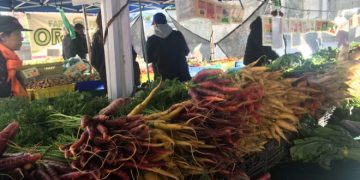 NYC Local Food Procurement Oversight TestimonyNYC Food Policy Center