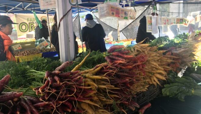 NYC Local Food Procurement Oversight TestimonyNYC Food Policy Center