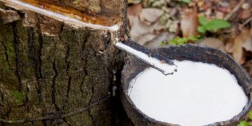 Sumitomo sets up natural rubber procurement unit in Singapore
