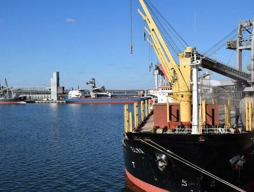 News – QTerminals win Olvia concession – WorldCargo News