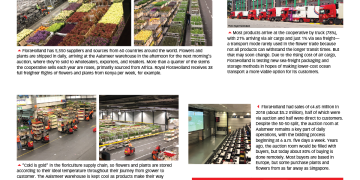 Streamlining the floral supply chain … one stem at a time – DC Velocity