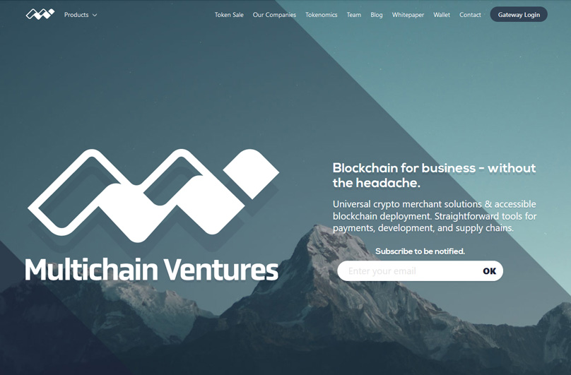 Multichain Ventures