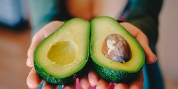 Dominican Avocados Gain Market Access to China