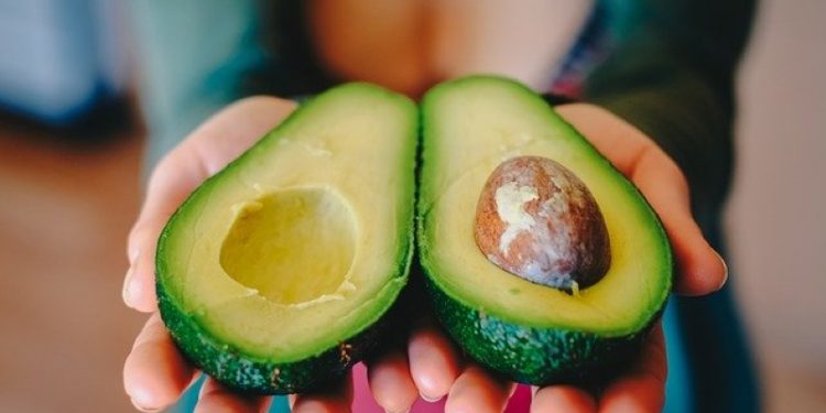 Dominican Avocados Gain Market Access to China