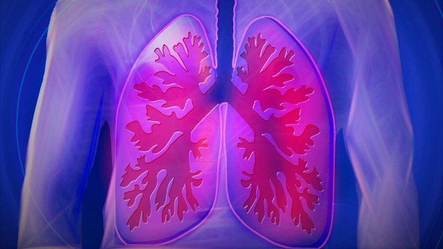 Blood Test Could Predict Onset of Tuberculosis