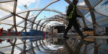Building timber cities to protect the climate