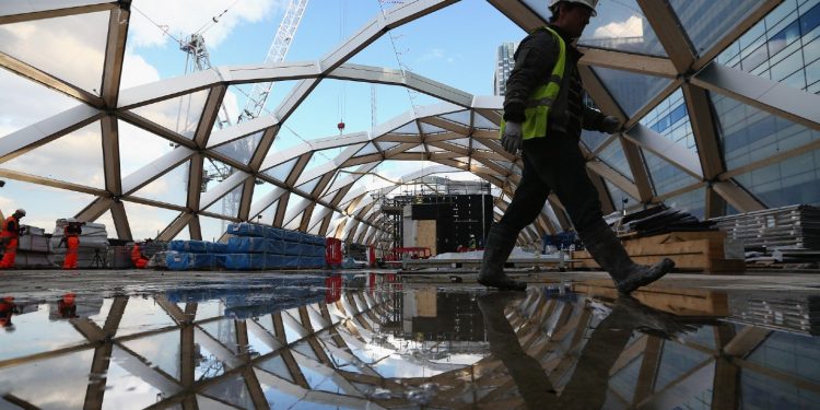 Building timber cities to protect the climate
