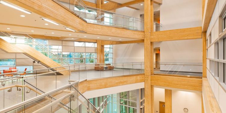 Sustainable building: The hottest new material is, uh, wood