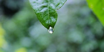 Social impact can be ‘seamlessly embedded into transactions’