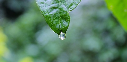 Social impact can be ‘seamlessly embedded into transactions’