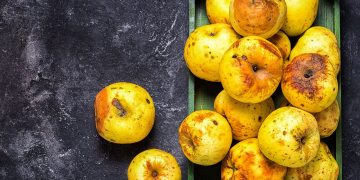 Can the digitalization of the supply chain reduce global food waste?