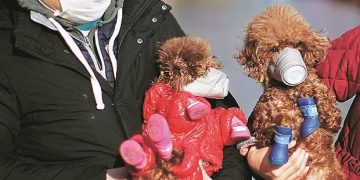 Coronavirus heat: Govt to rework supply chain as China shutdown intensifies