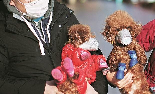 Coronavirus heat: Govt to rework supply chain as China shutdown intensifies
